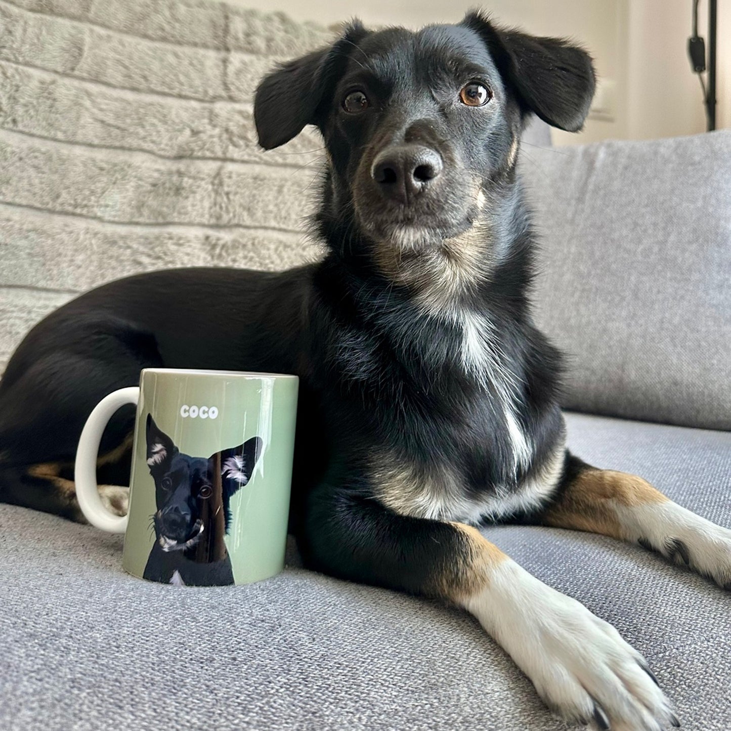 Photo of green custom pet portrait ceramic mug with black dog's artwork on it sitting next to the actual black dog called Coco