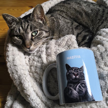 Load image into Gallery viewer, Photo of blue custom pet portrait ceramic mug featuring grey cat on the mug called Mazītis and the actual cat laying next to the mug
