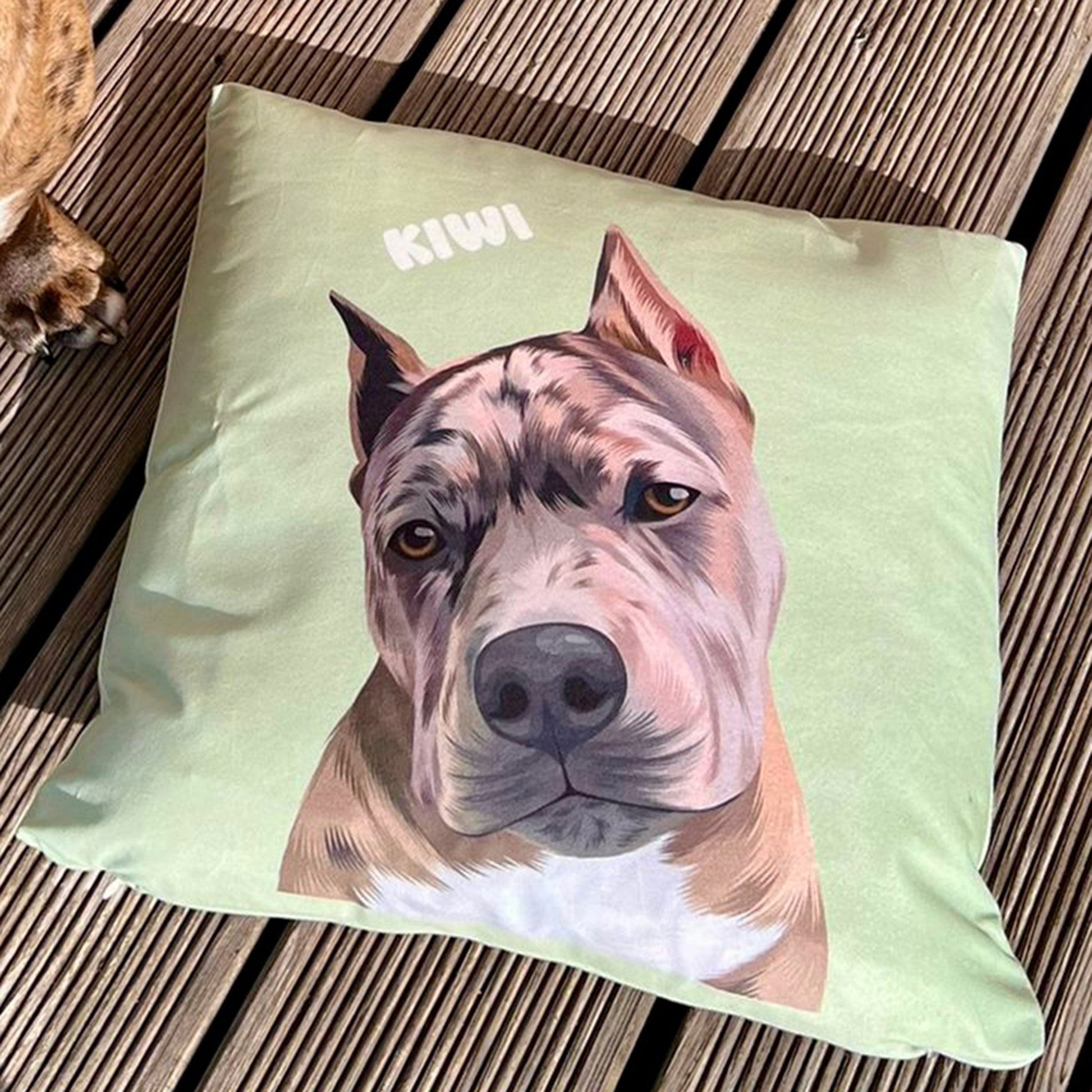 Close up photo of green custom pet portrait faux suede pillow featuring grey dog called Kiwi laying on the wood deck