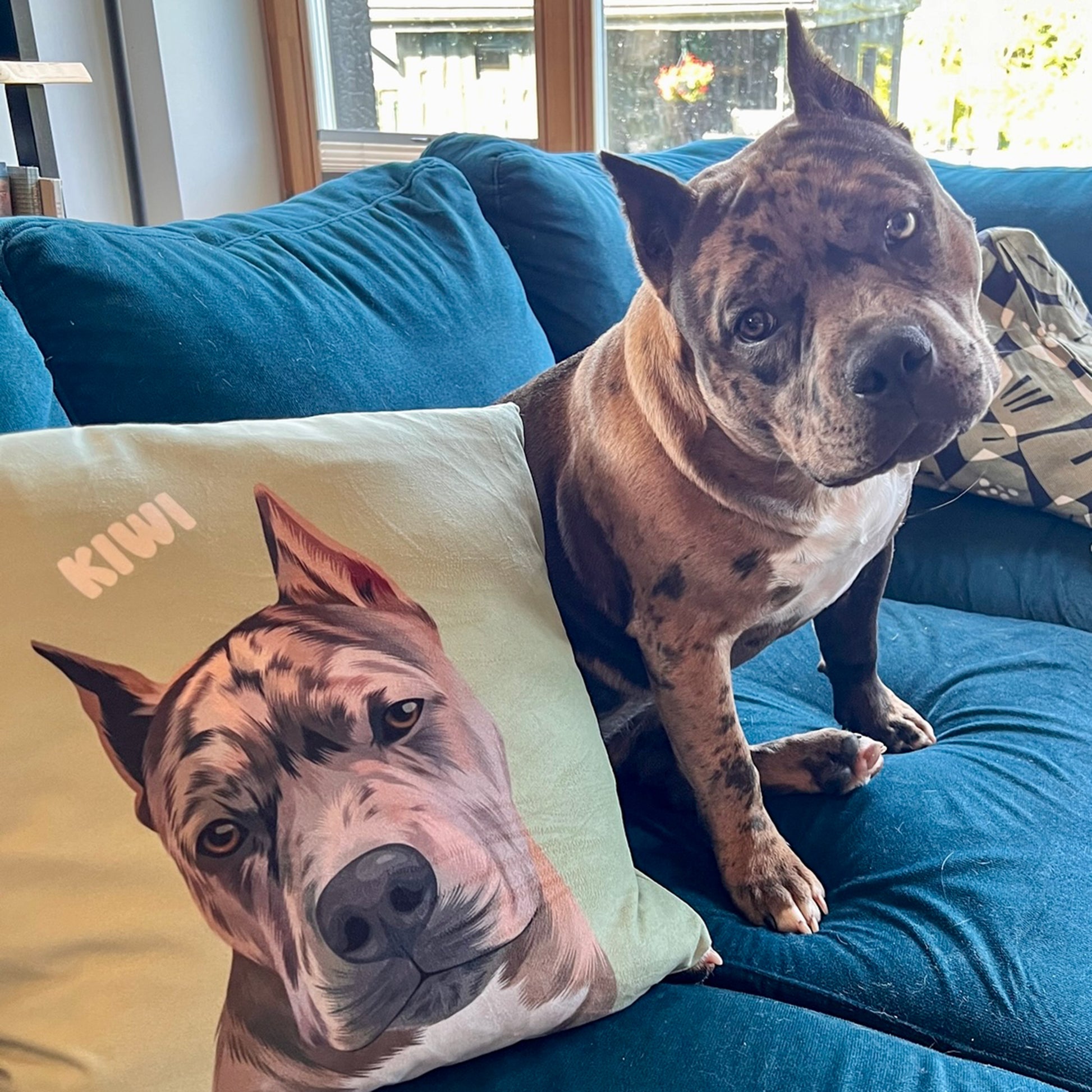 Photo of green custom pet portrait faux suede pillow featuring grey dog called Kiwi sitting on blue couch