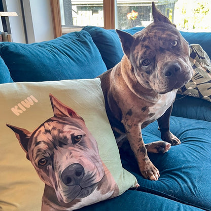 Photo of green custom pet portrait faux suede pillow featuring grey dog called Kiwi sitting on blue couch