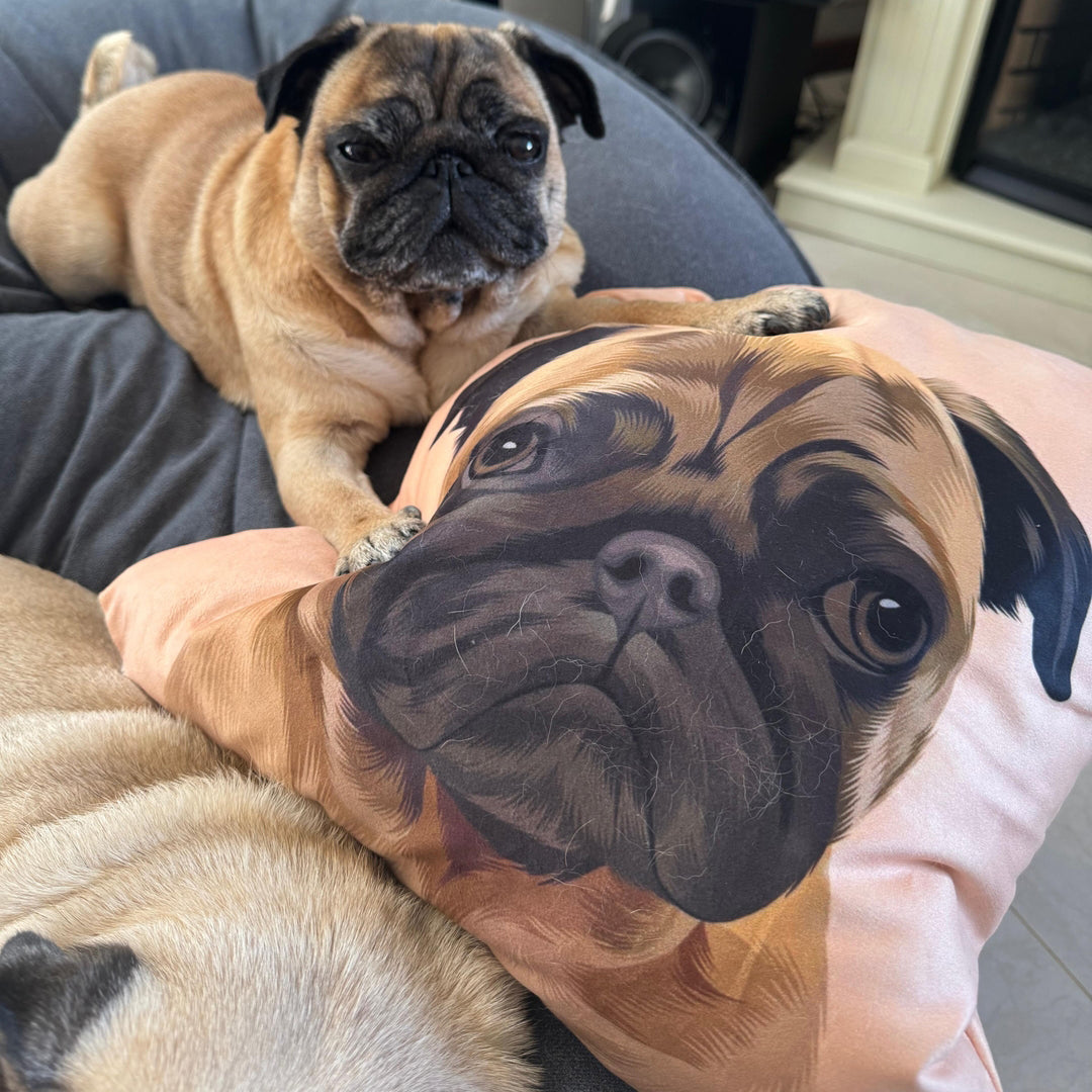 A cozy scene featuring two pugs lounging on a gray chair, with one pug resting on a peach-colored pillow that displays an illustrated image of a pug with expressive eyes, set against a softly lit indoor background.