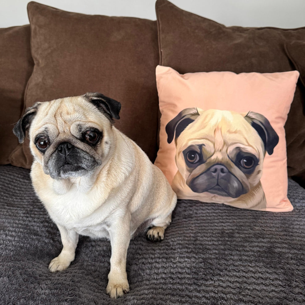 A cozy scene featuring a pug sitting on a gray textured blanket, with a matching peach-colored pillow displaying an illustrated image of the same pug, set against a backdrop of brown cushions on a sofa.