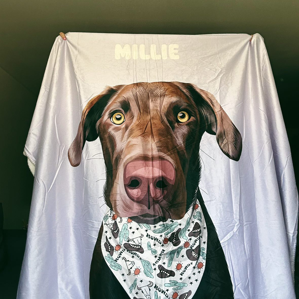 Product shot of a personalized periwinkle blanket featuring a Chocolate Lab-type dog illustration with a Western 