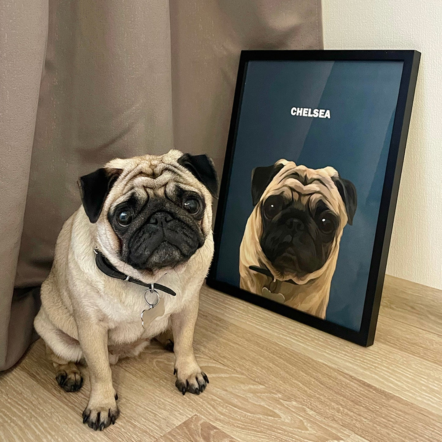Photo of charcoal custom pet portrait framed poster with white pug's artwork on it, with black frame, sitting next to the actual pug