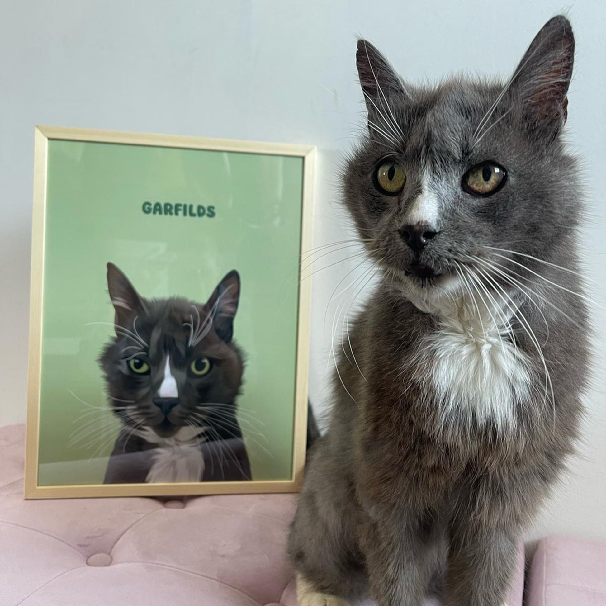 Photo of custom pet portrait framed poster with grey cat's artwork on it sitting next to the actual cat called Garfilds