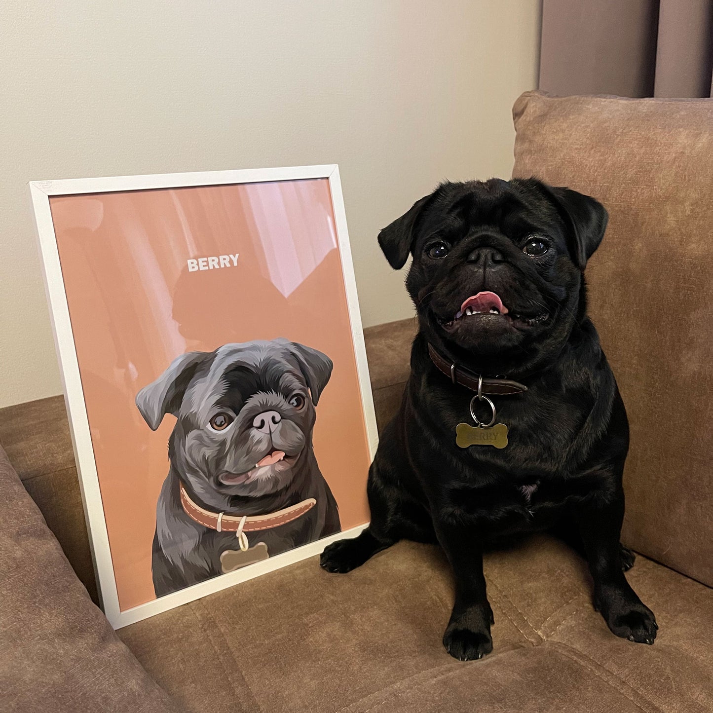 Photo of custom pet portrait framed poster with dog's artwork on it sitting next to the actual dog that is pug