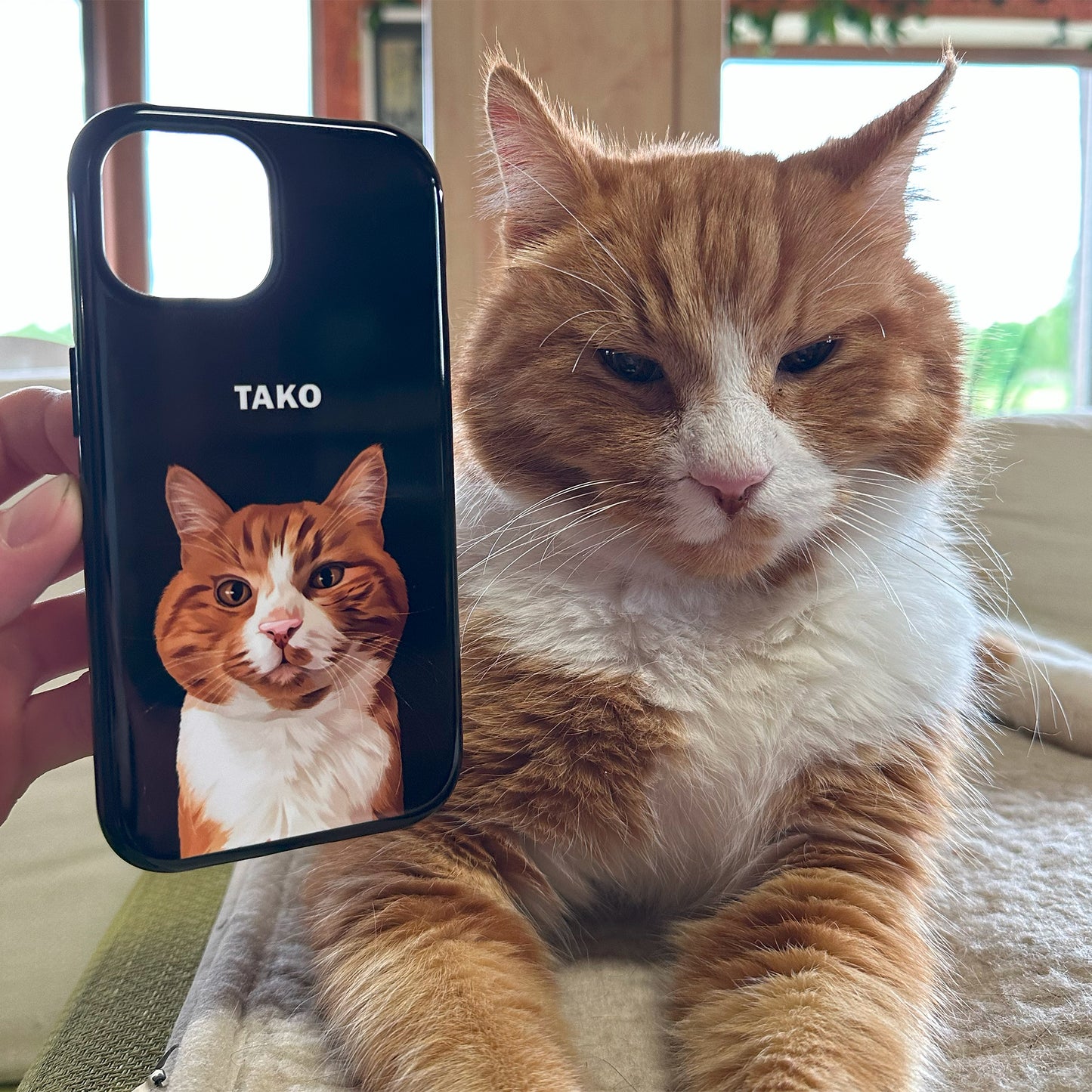 Orange and white cat lying on a cushion next to a black custom pet portrait tough phone case featuring a custom illustrated portrait of the same cat with the name "Tako" printed above, in a bright room with large windows and plants.