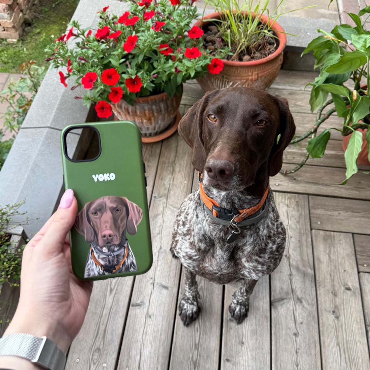 German Shorthaired Pointer dog with a brown and white coat sitting on a wooden deck next to a green custom pet portrait tough phone case featuring a custom illustrated portrait of the dog and the name "Yoko", with red flowers and potted plants in the background.