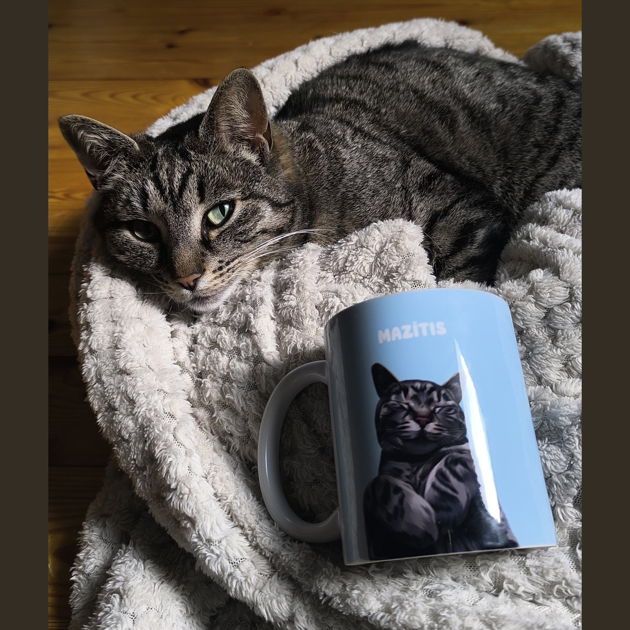Photo of custom pet portrait ceramic mug featuring grey cat on the mug and the actual cat laying next to the mug