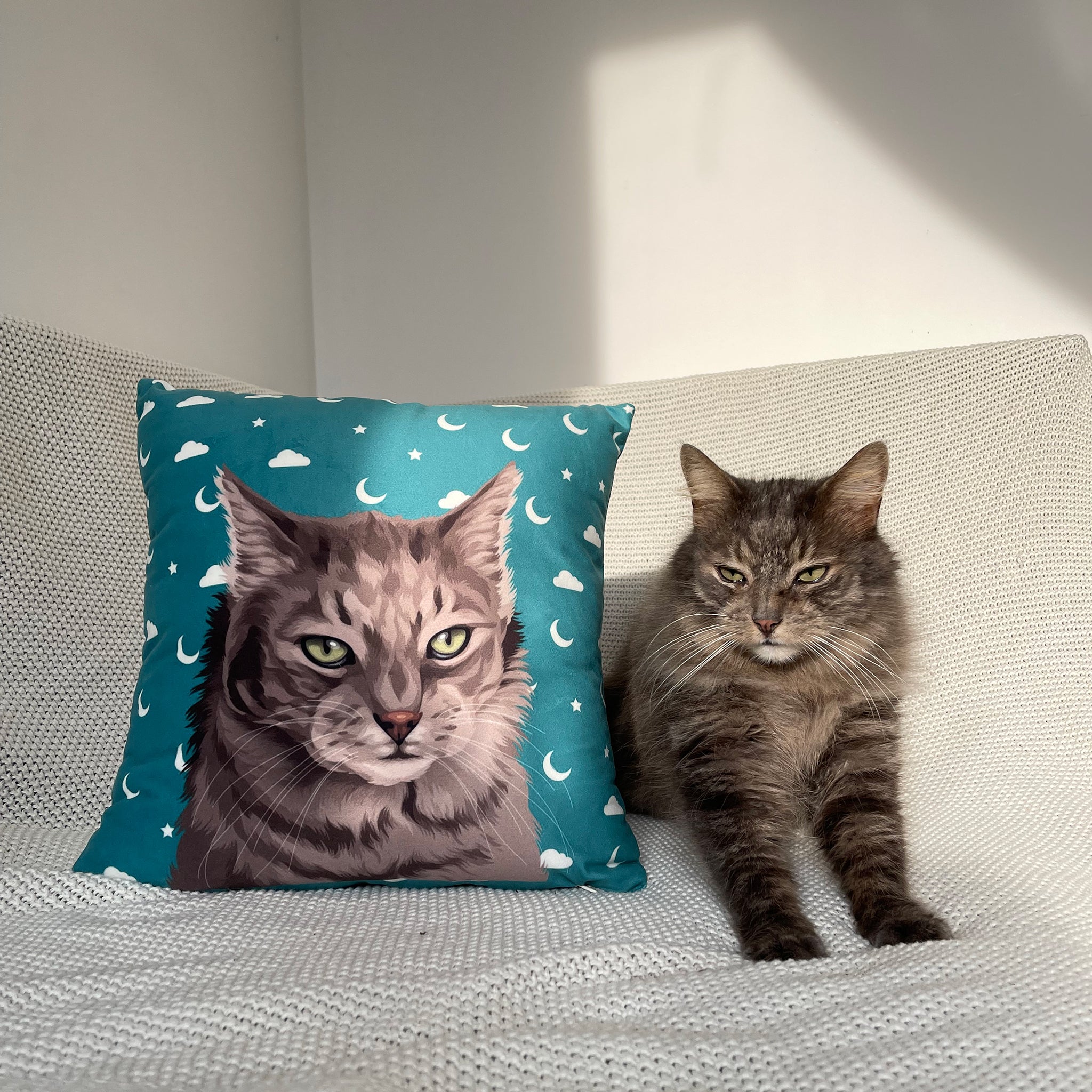 Photo of custom pet portrait faux suede pillow with cat's artwork on it sitting next to the actual cat