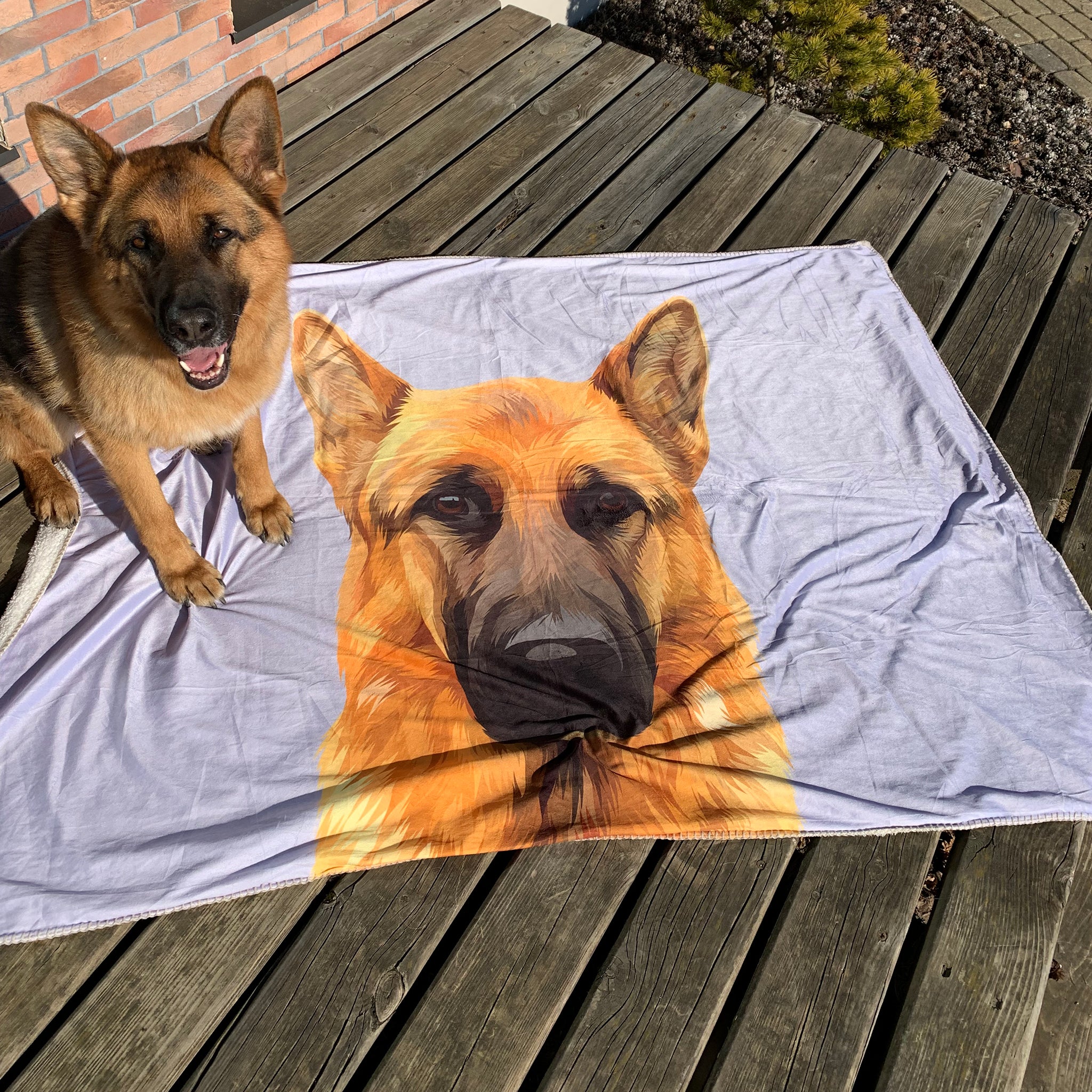 Photo of custom pet portrait fleece blanket with dog's artwork on it laying on wooden terrace while the dog is sitting on to the blanket