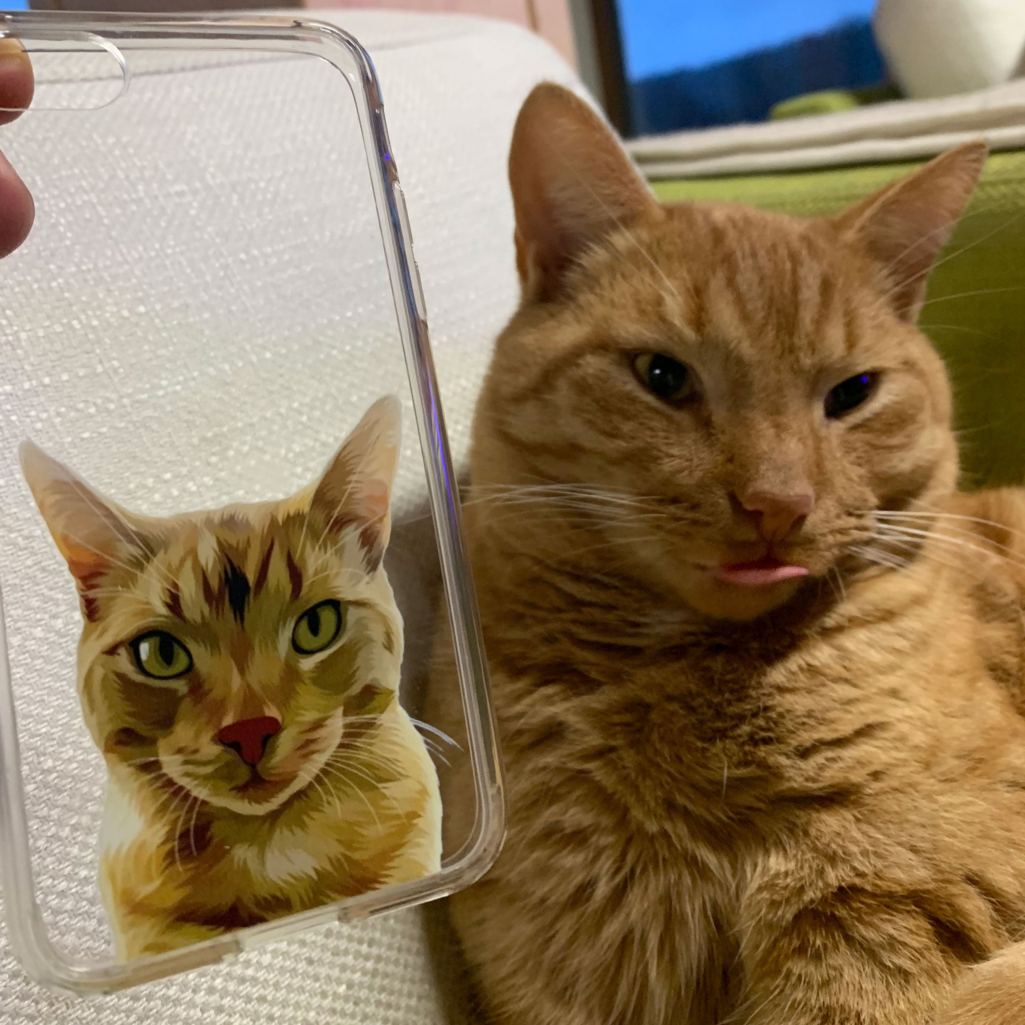 Photo of transparent custom pet portrait phone case with cat's artwork on it next to the actual cat