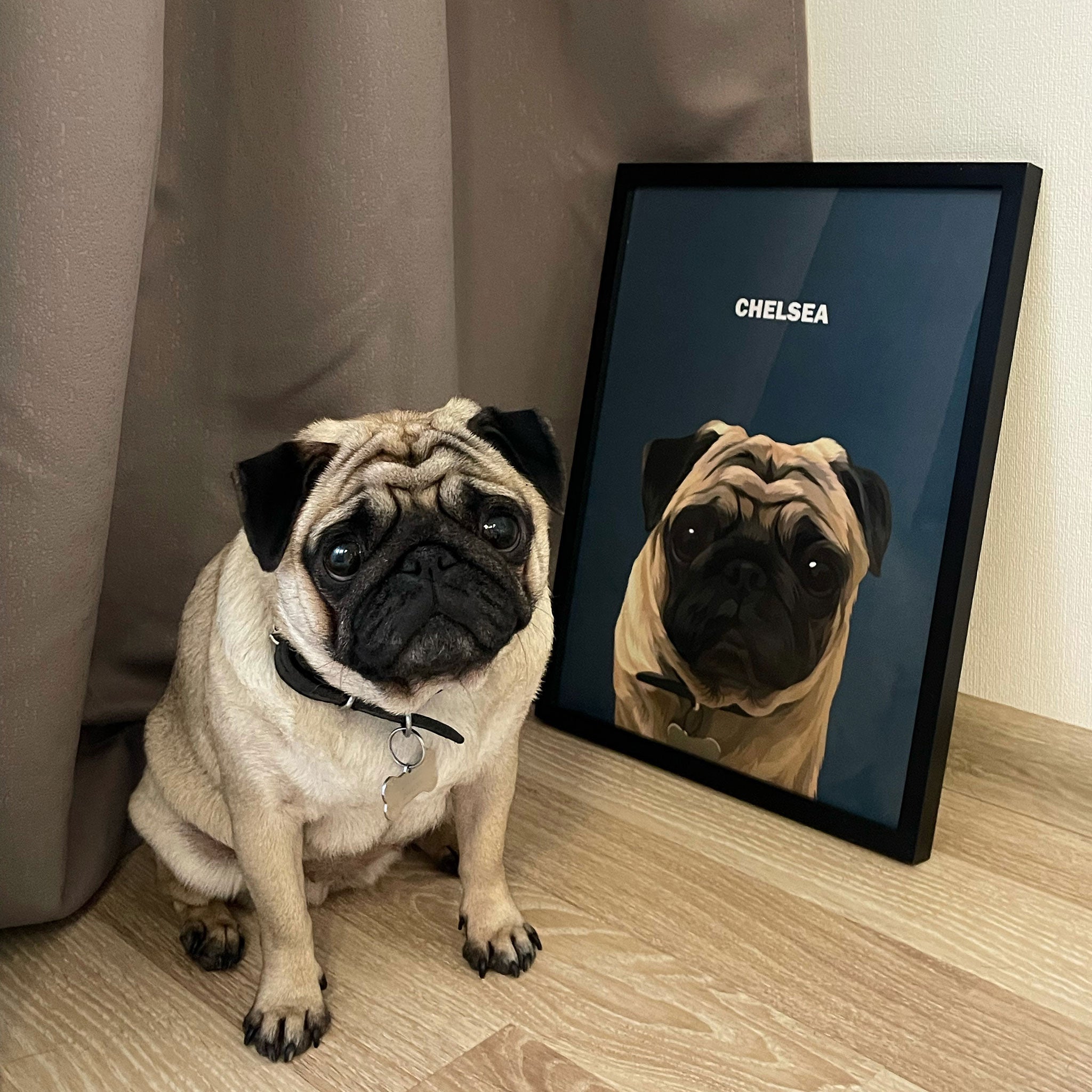 Photo of custom pet portrait framed poster with white dog's artwork on it sitting next to the actual dog that is white pug